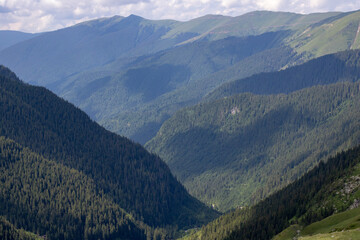 The mountains with fir trees intersect with the sky. Transfagarasan