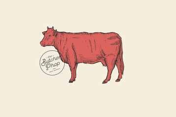 Hand-drawn red cow on a light background. Advertising of dairy and meat products and farms. Can be used for dairy stores, markets and menu design, packaging and labels. Vector illustration.