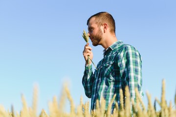 Happy mature technician checking the growth of the wheat for a quality control in a cereal field in summer