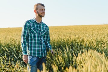 Naklejka na ściany i meble Young farmer in a wheat field before the harvest.