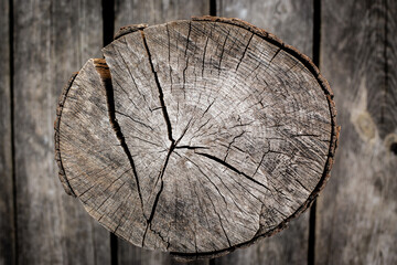 cutaway log wood board outdoors old Wooden texture 