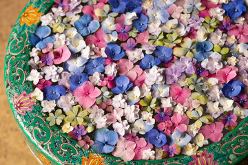 Fototapeta na wymiar 鎌倉の一条恵観山荘の紫陽花の花手水 