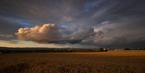 Fototapeta premium Blick über Mainz zum Großen Feldberg im Taunus