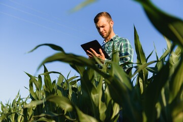 Happy young farmer or agronomist using tablet in corn field. Irrigation system in the background. Organic farming and food production