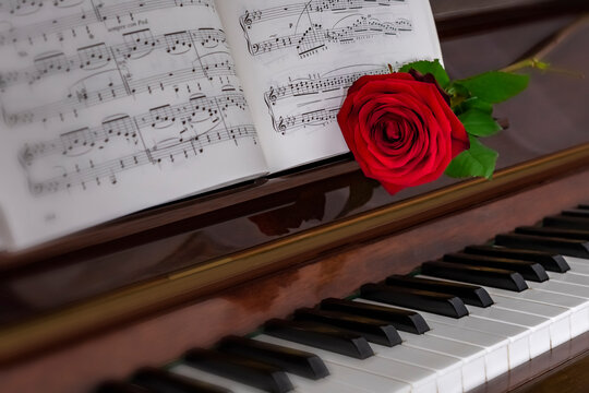 la rose et le piano