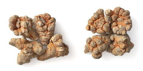 Dried Panax notoginseng roots isolated on white background, top view