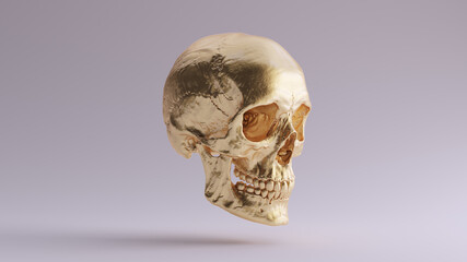 Gold Human Female Skull Medical Anatomical with Teeth and Jaw Quarter Right Side 3d illustration render