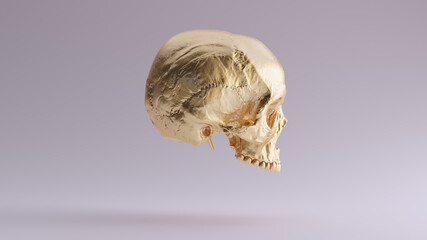 Gold Human Female Skull Medical Anatomical with Teeth Right Side 3d illustration render
