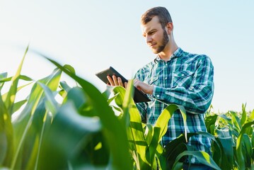 Happy young farmer or agronomist using tablet in corn field. Irrigation system in the background....