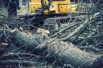 Fototapeta na wymiar machine destroying nature. Yellow bulldozer chopping down trees (selective focus on the machine)