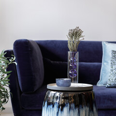 Stylish composition at living room interior with design stool, velvet sofa, pillows, plants, dried flowers in vase, tray and personal accessories in modern concept. Close up.