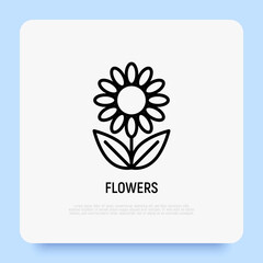 Flower thin line icon. Modern vector illustration.