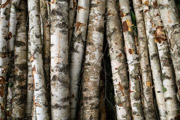 texture background a pile of sawn logs of aspen