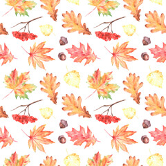 Watercolor seamless pattern Autumn leaves. Maple, oak, birch leaves. Rowan, acorns. On a white background. Orange, yellow, green, brown, red colors. For printing on textiles, wrapping paper, postcards