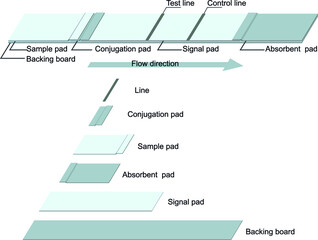Component of rapid strip test for diagnosis. Lateral flow immunoassay. 