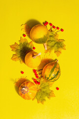 Autumn decoration background with pumpkins, leaves, and berries