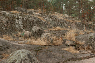 Rocky island with dry grass and pine trees, Karelia, Ladoga 