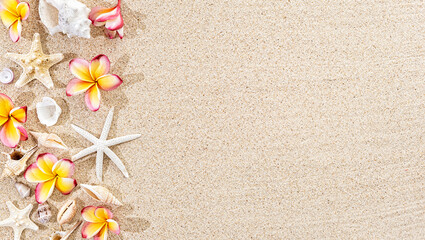 Frangipani tropical  Ffower, plumeria and seashells, starfish on sand background, top view, copy space