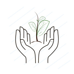 hands holding a green plant