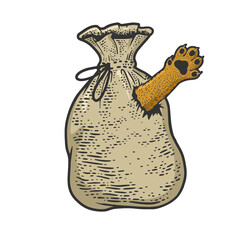 Cat in bag sketch raster illustration