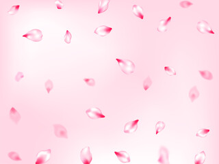 Japanese cherry blossom pink flying petals