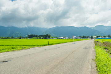 田舎の一本道(斜め)