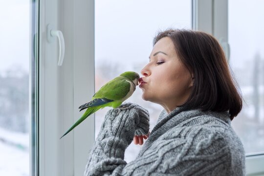 Middle aged woman and parrot together, female bird owner talking kissing green quaker pet
