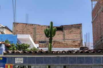 The Huaraz Province is one of twenty provinces of the Ancash Region in Peru. It was created on...