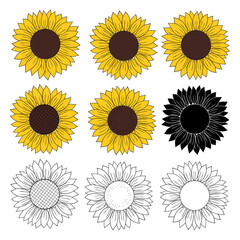 Sunflower graphics silhouettes vector illustration. 