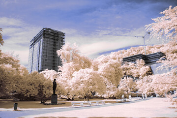 infrared photography - surreal ir photo of landscape with trees under cloudy sky - the art of our...