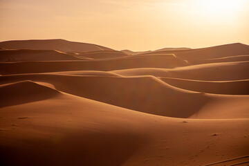 Fototapeta na wymiar Dunas del desierto. Desert dunes.