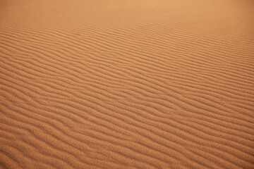 Desierto