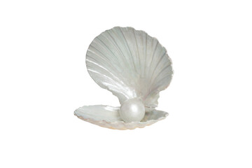 Pearl inside seashell isolated on white background - obrazy, fototapety, plakaty
