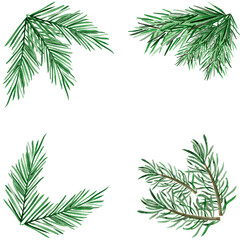 Naklejka na ściany i meble Spruce branches border watercolor. Template for decorating designs and illustrations.