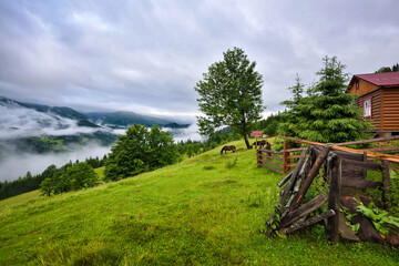 Fototapeta na wymiar Splendid mountain valley is covered with fog after the rain. Hut in the mountains. Location place Carpathian mountains, Ukraine, Europe.