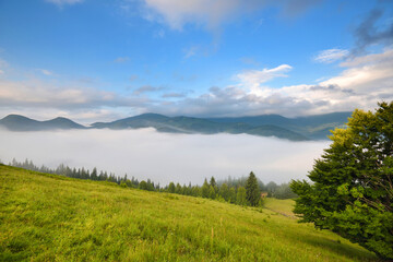 Fototapeta na wymiar Foggy morning in the Carpathian mountains. Beautiful mountain valley is covered with fog. Ukraine, Europe.