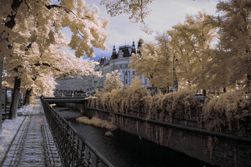 infrared photography - surreal ir photo of landscape with trees under cloudy sky - the art of our world and plants in the invisible infrared camera spectrum