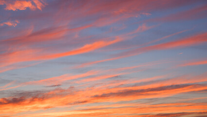 Scenery. Photo of the evening sky. Crimson yellow clouds against a blue sky at sunset before a thunderstorm.