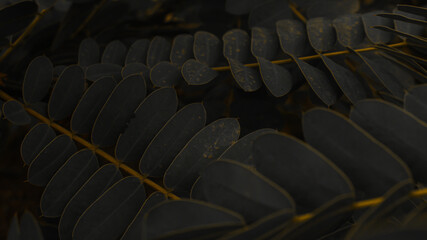 Fototapeta premium leaves in rain forest