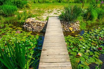 wooden pier bridge on the lotus pond