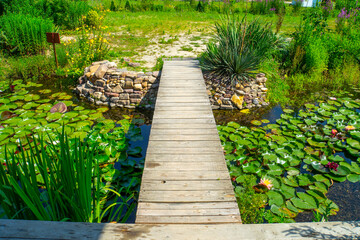 wooden pier bridge on the lotus pond