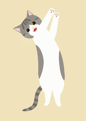 手を叩くサバトラ猫