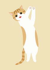 手を叩く茶白猫