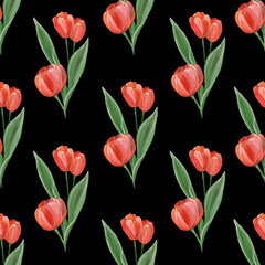 Obraz premium Red bright tulips with leaves on a black background. Watercolor hand drawn illustration. Spring flowers. Floristic seamless pattern. For textiles, packaging, postcards.
