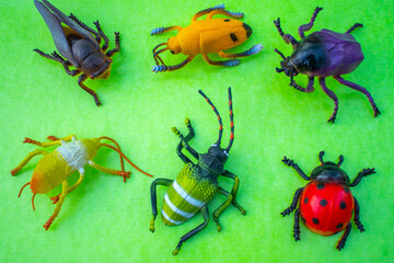 Plastic insect toys on green background