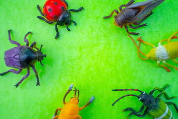 Plastic insect toys on green background