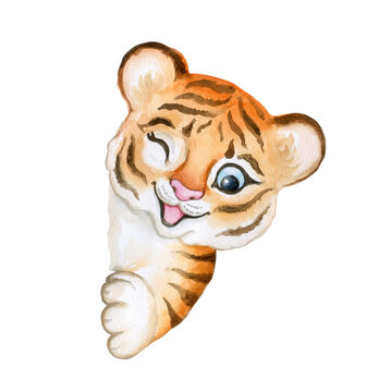 Tiger baby with raised paws, tiger cub watercolor isolated on white background. Cute cartoon Animal. Watercolor. Illustration. Childrens stock illustration