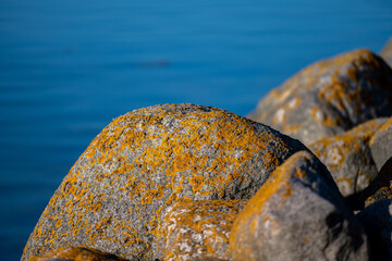 An ocean boulder in beautiful sunset light. Picture from the Baltic Sea island of Oland