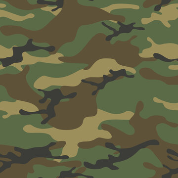 Camouflage seamless pattern. Abstract camo. Print on fabric and clothing. Vector