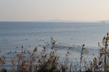 Bridge across the strait 